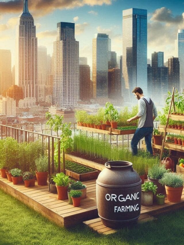 Can You Start Organic Farming on a Small  spaces? Absolutely!