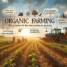 Organic Farming So Expensive?